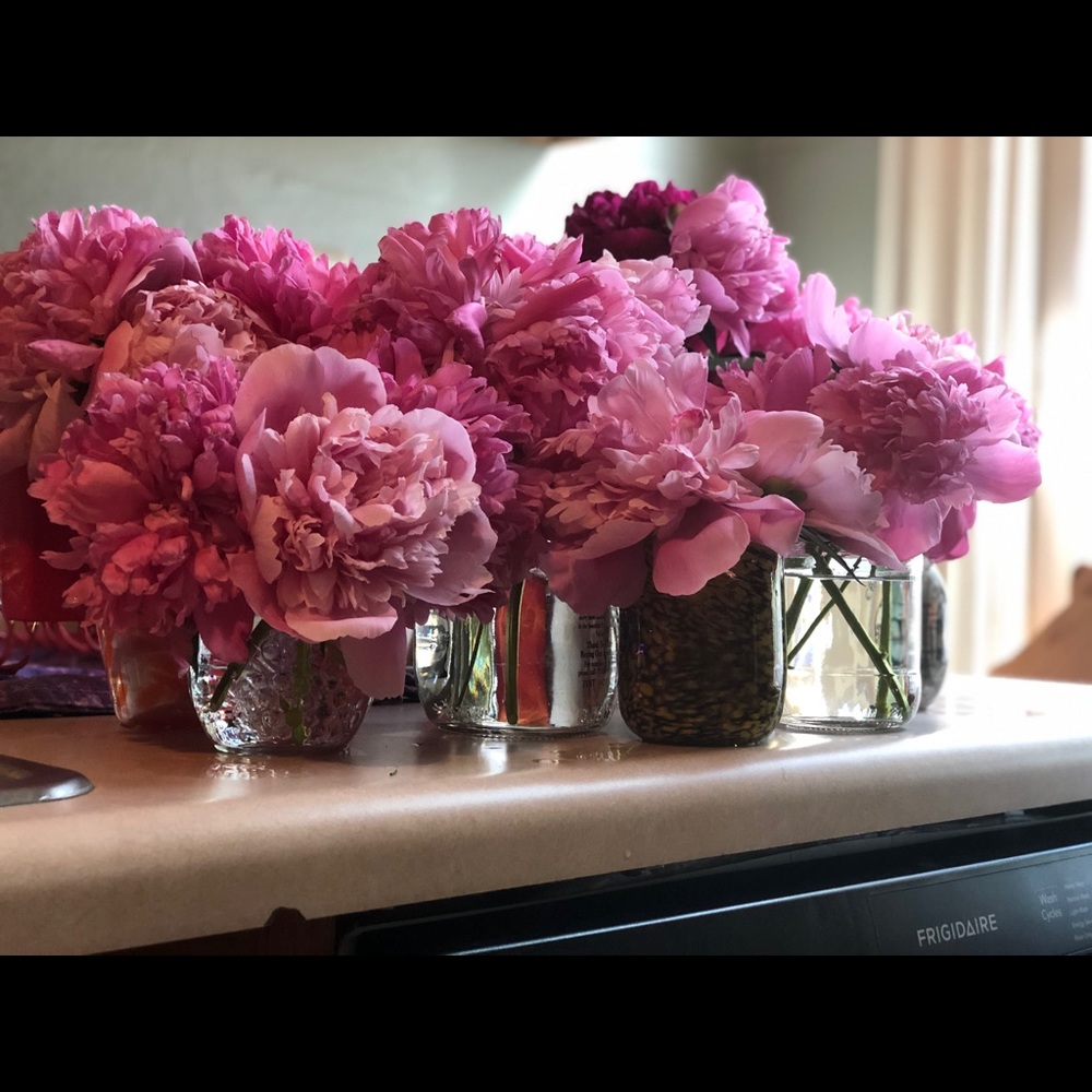 Meet your Posher, Dessia